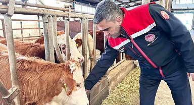 Erzurum'da 2025 yılında üreticiye güçlü destek