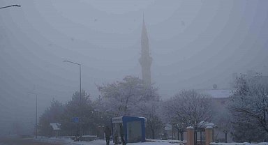 Erzurum'da sis ulaşımı aksattı