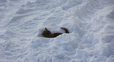Eski kışlar geri geldi, Kızılırmak'ın yüzeyi kısmen dondu