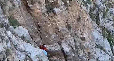 Fethiye'de kayalıklarda mahsur kalan keçi kurtarıldı