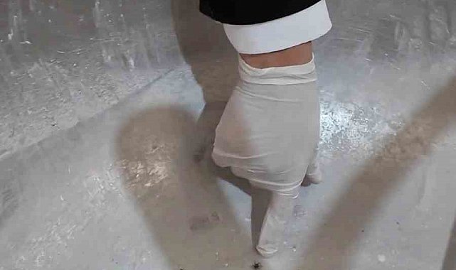 Fırında ortaya çıkan görüntülere tepki gösteren zabıta müdürü: "Fareyi geçtim, yılan çıkacak diye korkuyorum"