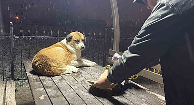 Gazetecilerden duyarlı davranış