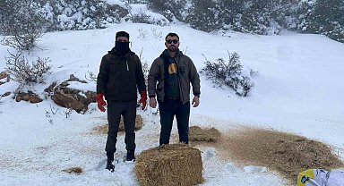 Gaziantep'te karlı havada aç kalan yaban hayvanları için doğaya yem bırakıldı