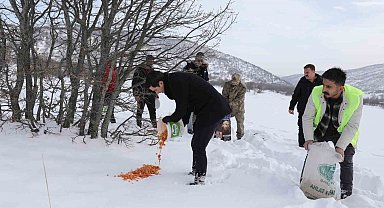 Genç'te yaban hayvanları için doğaya yem bırakıldı