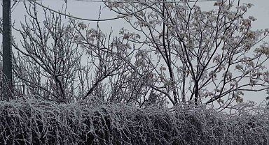 Gercüş beyaz örtüyle kaplandı
