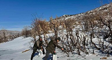 Gercüş'te orman ekibi doğadaki canlıları yalnız bırakmadı