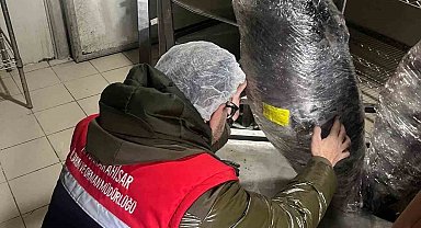 Gıda üretim ve satışı yapan işletmelerine yönelik denetim
