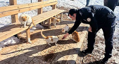 Gölbaşı ilçesinde polisler sokak hayvanları için mama bıraktı