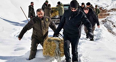 Gümüşhane'de aç kalan yaban hayvanları için seferberlik