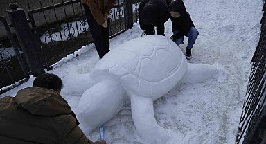 Gümüşhane'de "kardan kaplumbağa" ilgi odağı oldu