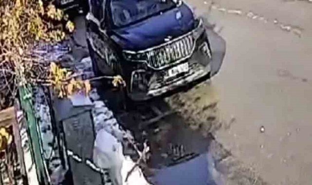 Güneşi gören kardan adam eriyip kaldırımda devrildi