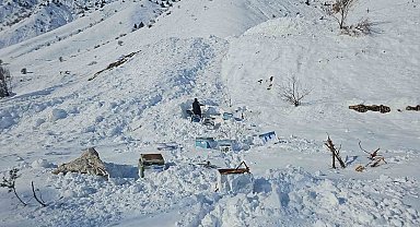 Hakkari'de 32 arı kovanı çığ altında kaldı