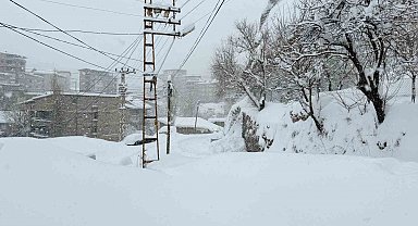Hakkari'de 89 yerleşim yerinin yolu kapandı
