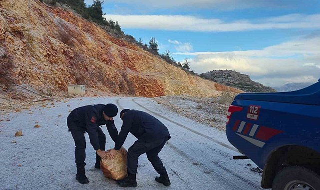 Harmankaya Tabiat Kanyonu'nun yolunu düşen kaya parçası jandarma tarafından kaldırıldı