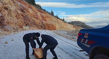 Harmankaya Tabiat Kanyonu'nun yolunu düşen kaya parçası jandarma tarafından kaldırıldı