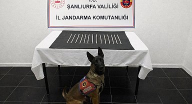 Harran'da uyuşturucu operasyonu: 2 gözaltı