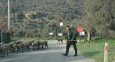 Havalar ısındı, sürüler doğaya salındı