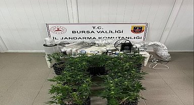 İnegöl'de uyuşturucu operasyonu: Evde esrar üretim düzeneği ele geçirildi