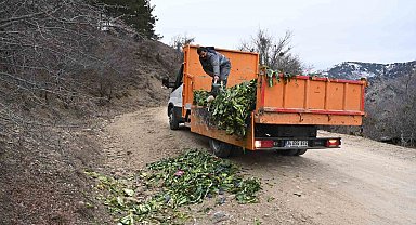 Isparta'da kışın aç kalan yaban hayvanlarına duyarlı dokunuş
