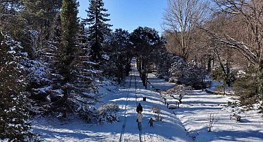 İstanbul'da kar göremeyenler Atatürk Arboretumu'na geldi