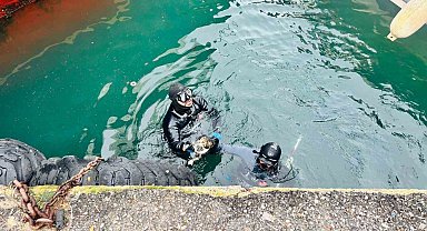 İzmir İtfaiyesi, iskele altında sıkışan kediyi kurtardı