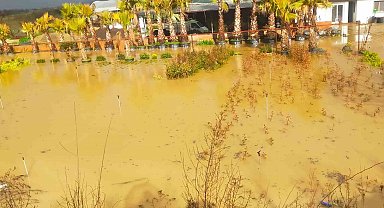 İzmir sağanağa teslim: Yollar ve tarım arazileri sular altında