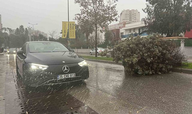 İzmir'de fırtına ağaçları devirdi: 5 araç hasar gördü