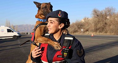 JAKEM'de görev köpekleri zorlu görevlere hazırlanıyor