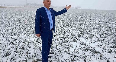 Kar yağışı sarımsak üreticisinin yüzünü güldürecek