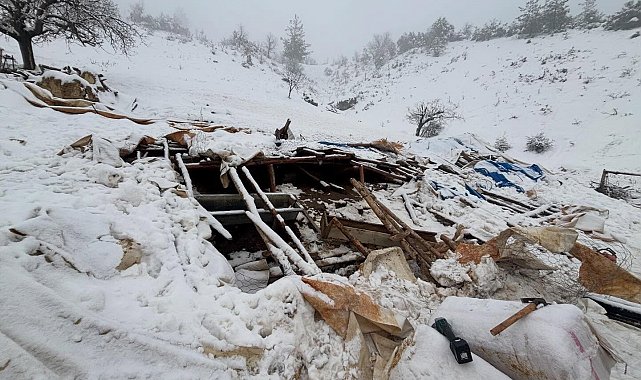 Karaman'da karın ağırlığına dayanamayan ahırın çatısı çöktü
