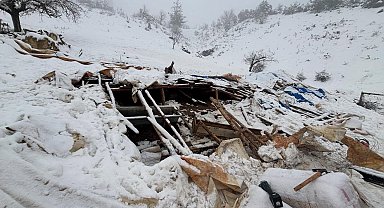 Karaman'da karın ağırlığına dayanamayan ahırın çatısı çöktü