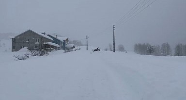 Karın tadını çıkarmak için İstanbul'dan Sivas'a akın ettiler