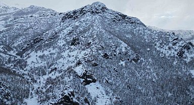 Karla birlikte meşe ormanı beyaza büründü