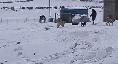 Kars'ın soğuğunda enerji mesaisi: Aras Edaş ekiplerinin soğukla imtihanı