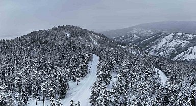 Kastamonu ormanlarında kış güzelliği