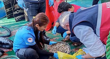 Kastamonu'da beyaz kum midyesi avcılığına yönelik denetimler sürüyor