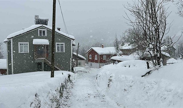 Kastamonu'da kar 167 köy yolunu ulaşıma kapattı