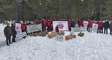 Kastamonu'da karla kaplanan ormanlara yaban hayvanları için yiyecek bırakıldı