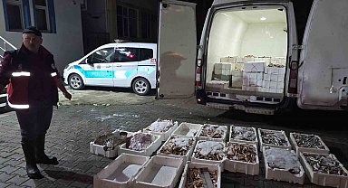 Kastamonu'da yasa dışı avlanan 1,5 ton balığa el konuldu