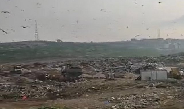 Katı Atık Tesisinde vahşi depolama yapan Bursa Büyükşehir Belediyesi'ne 1.8 milyon TL ceza