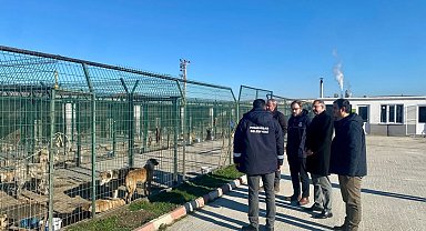 Kaymakam Özderin, Pınarhisar Geçici Hayvan Bakım ve Gözlem Merkezi'nde incelemelerde bulundu