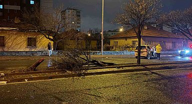 Kazada savrulan otomobil ağacı ikiye böldü: 4 yaralı