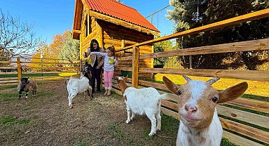 Keçi, ördek, tavuk, tavşan: Hepsinin görevi "Çok özel"