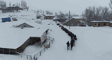 Keçi sürüsü 4 saatlik zorlu yolculukla köye ulaştırıldı