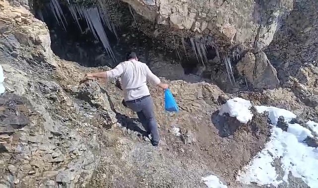 Keklikler için doğaya yem bıraktılar