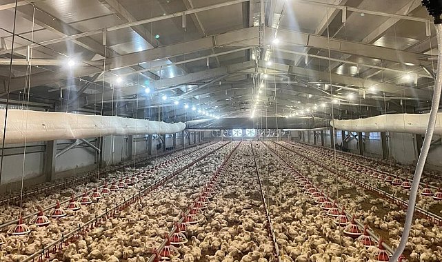 Kırsalda üretime 33,6 milyon liralık can suyu