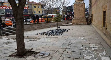 Kırşehir'de tarihi Kapucu Camii güvercinlerin yuvası oldu