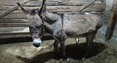 Kırşehirli köylüden vicdanlara dokunan hareket