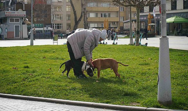 Kış ortasında sonbahar havası