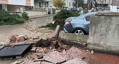Kocaeli'de şiddetli rüzgar 12 metrelik ağacı devirdi: Yol trafiğe kapandı